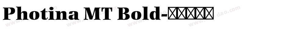 Photina MT Bold字体转换